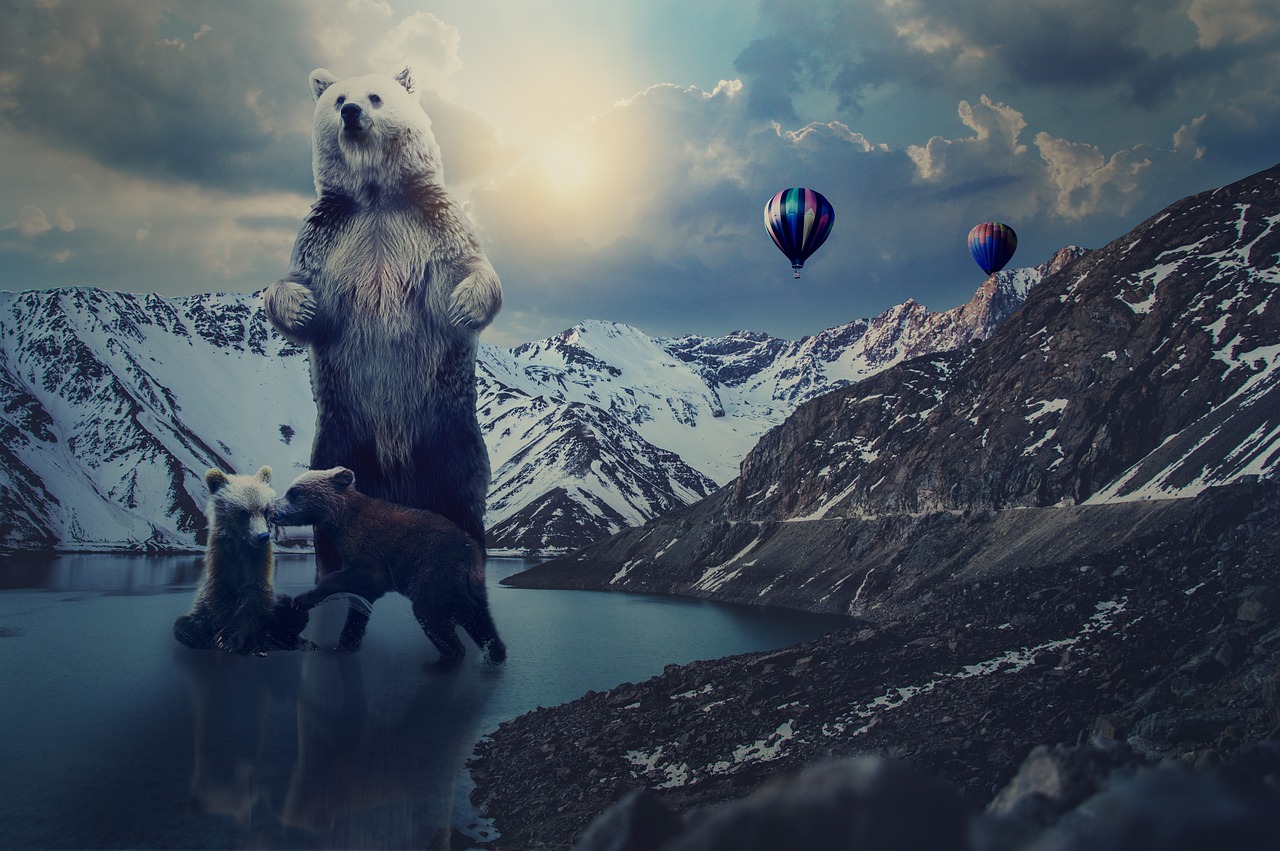 帝王雷最新版本下載，探索與體驗之旅