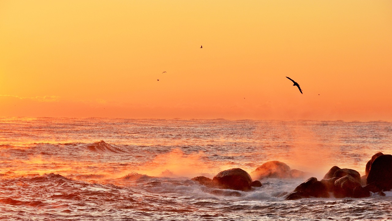 舟山出海捕魚最新招聘啟事，探索海洋的機遇與挑戰(zhàn)