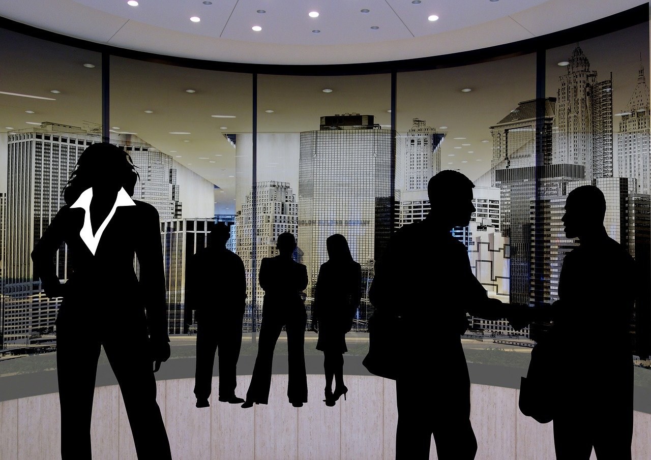 陸良最新人事任免動態(tài)及解析，2016年人事調(diào)整概覽