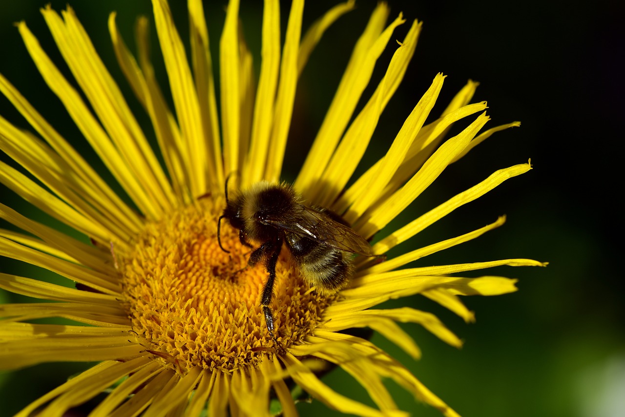 太原城市改造最新動(dòng)態(tài)，煥新顏，發(fā)展提速