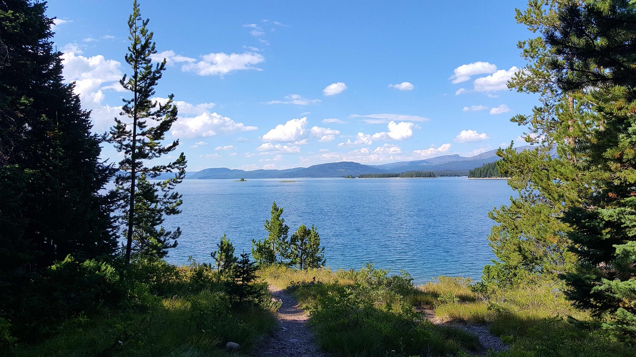 青娛樂最新地址探尋之旅，探索最新動態(tài)與娛樂盛宴的門戶