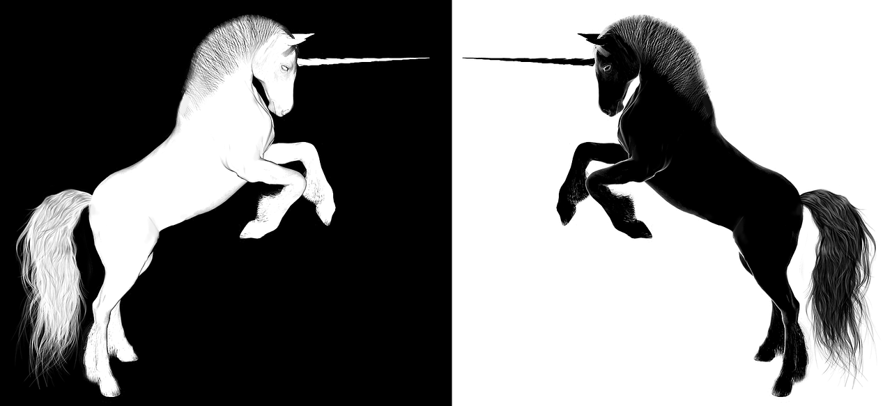 上海浦東合慶最新招聘動態(tài)，影響與趨勢分析