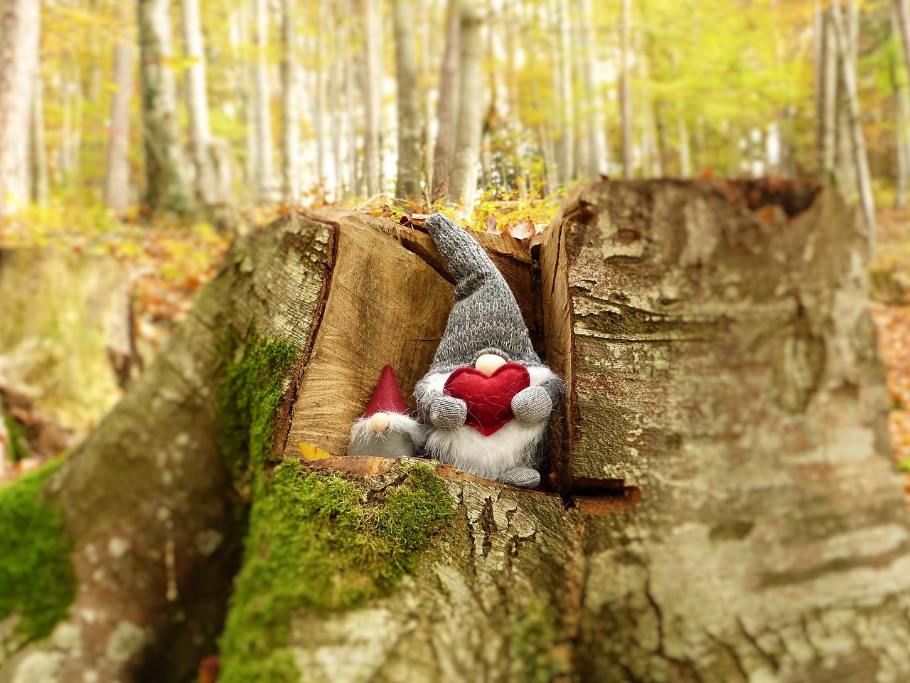 武警王信的英勇事跡與時代精神，最新消息揭秘