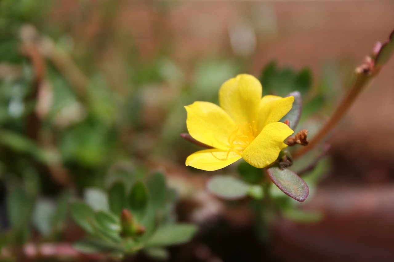 威海泊于水庫最新動態(tài)，進(jìn)展、影響與展望