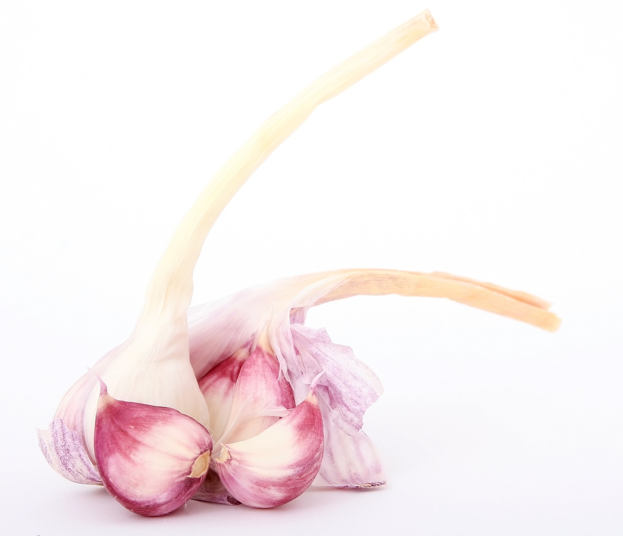 香兒最新廣場(chǎng)舞雙人舞，舞動(dòng)生活的優(yōu)美旋律