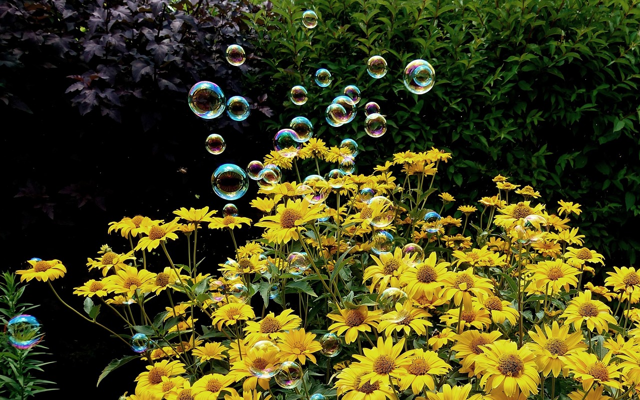 無極縣最新招聘信息網深度解析及招聘動態(tài)速遞