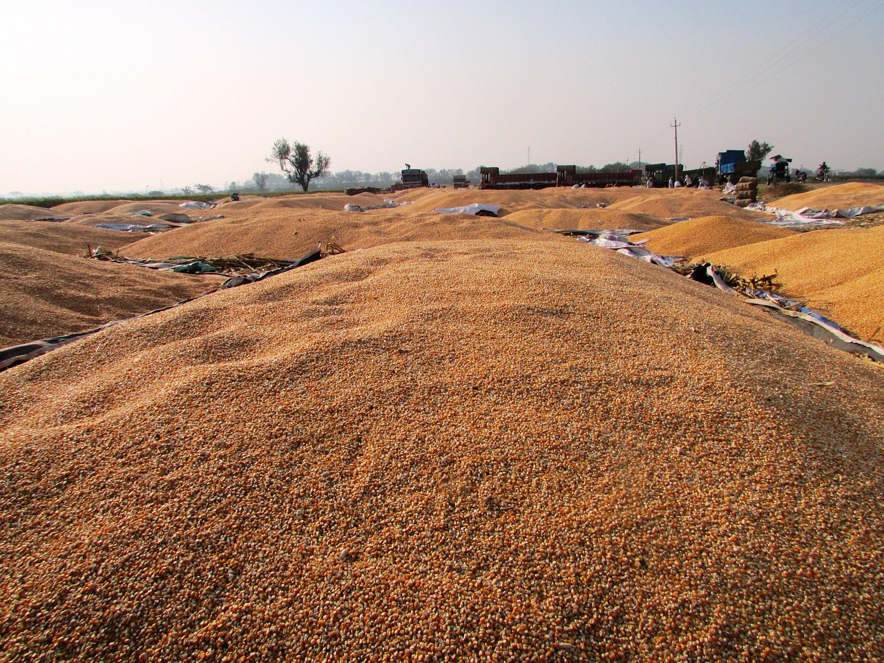 技術(shù)革新引領(lǐng)小型鋼廠行業(yè)新風(fēng)向，最新消息揭秘發(fā)展動(dòng)態(tài)