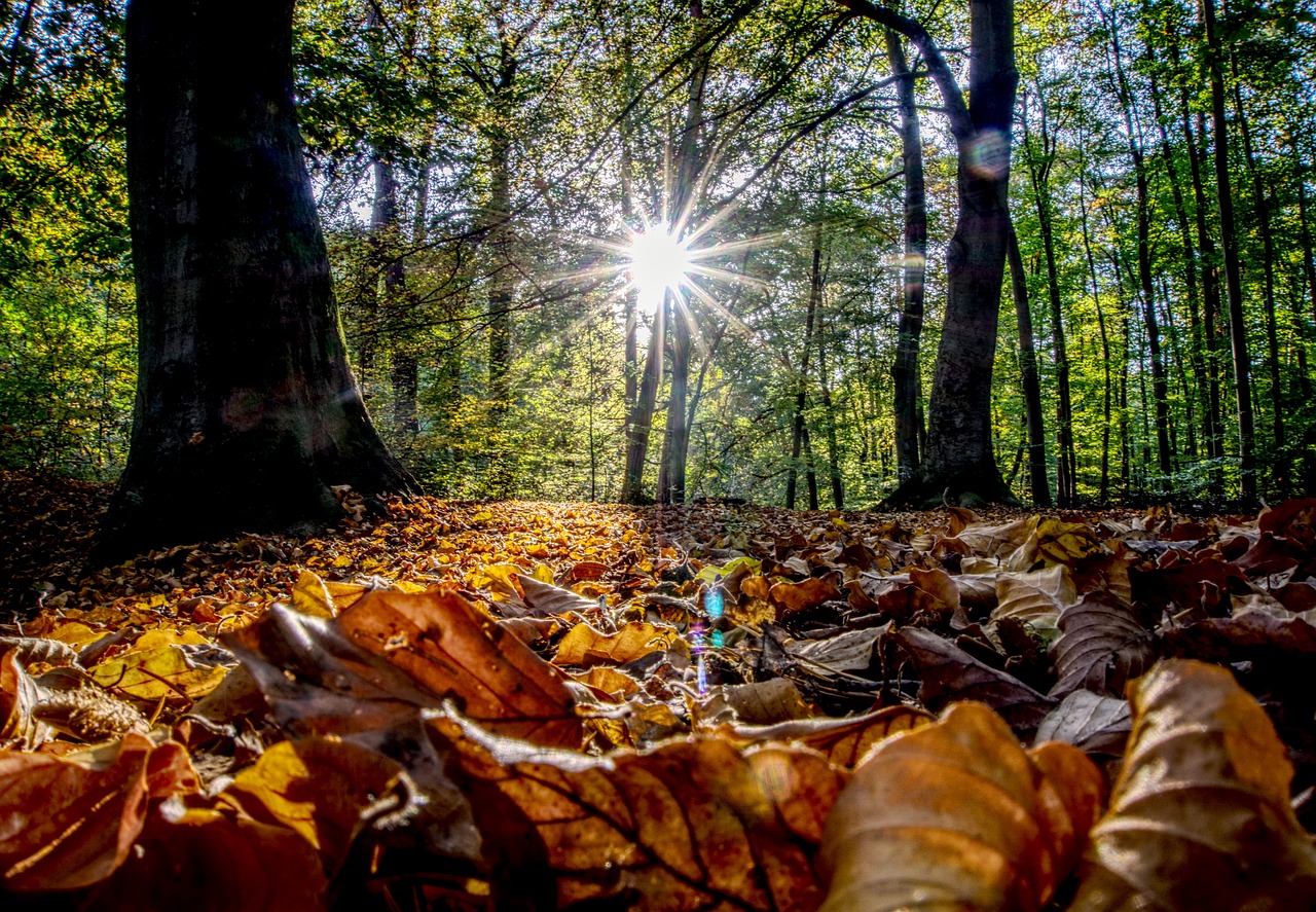 古劍奇譚三最新動(dòng)態(tài)揭秘，新內(nèi)容、玩法與體驗(yàn)全解析
