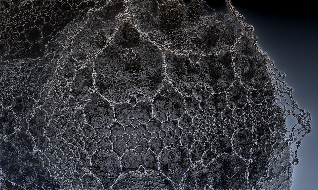 遼寧隋顯利最新動(dòng)態(tài)，傳奇人物的嶄新篇章