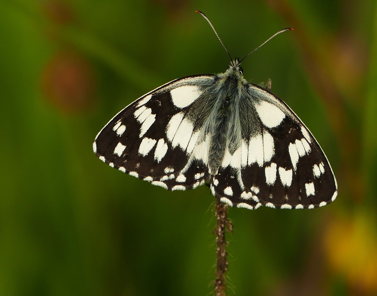 容縣二手房最新信息概覽，最新房源、價(jià)格及交易動(dòng)態(tài)一網(wǎng)打盡！