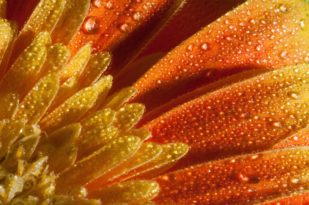 鄭州東岸尚景最新動態(tài)，城市新篇章的璀璨明珠