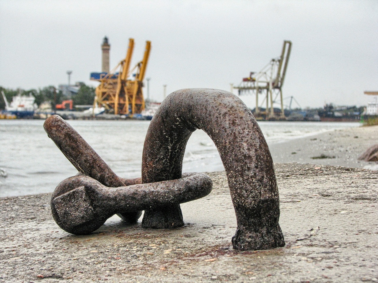 大連外經(jīng)貿(mào)最新消息概覽，最新動態(tài)與發(fā)展分析