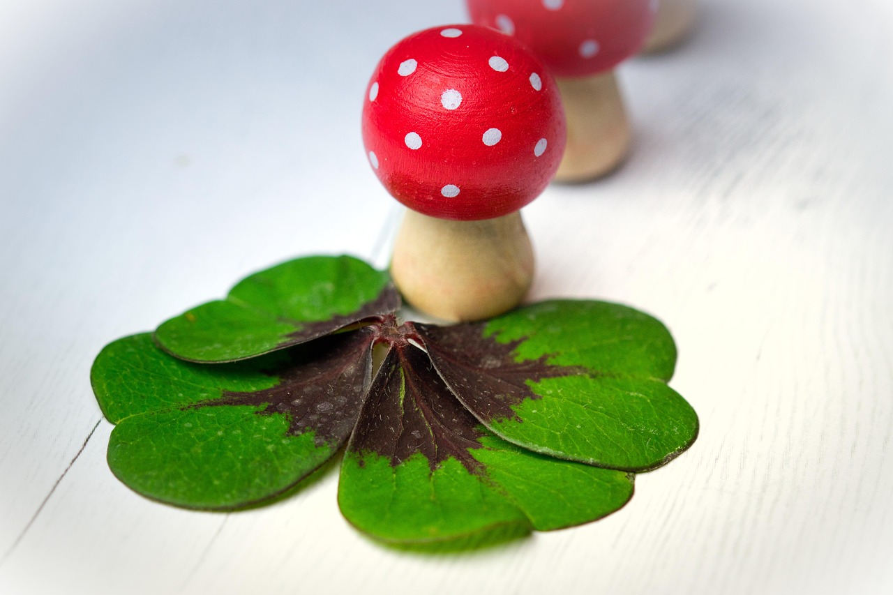 華清御園最新動(dòng)態(tài)，展現(xiàn)獨(dú)特魅力與未來(lái)發(fā)展藍(lán)圖揭秘