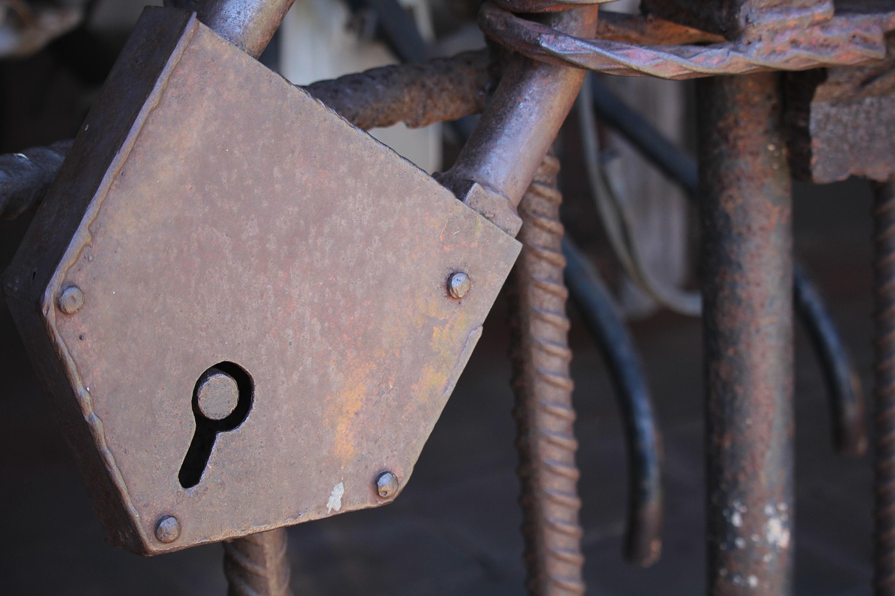 廣東省黨代會最新動態(tài)，新時代的新征程啟航