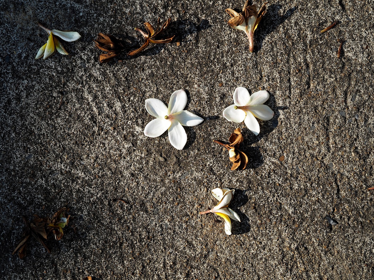 乳山民間互助最新動態(tài)更新，最新消息匯總