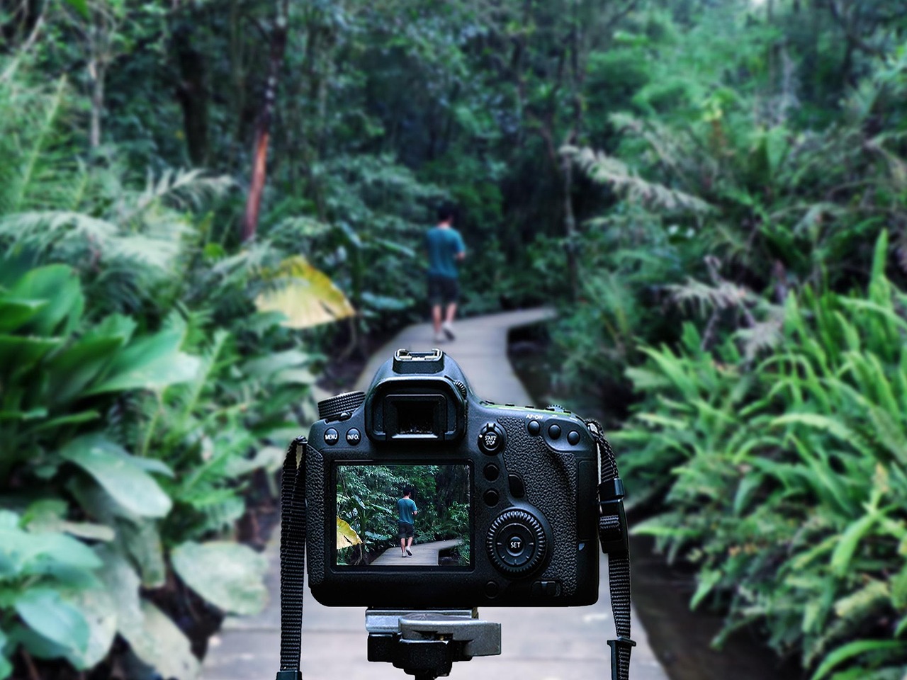 灌南高鐵站最新消息深度解析，最新動態(tài)與進(jìn)展