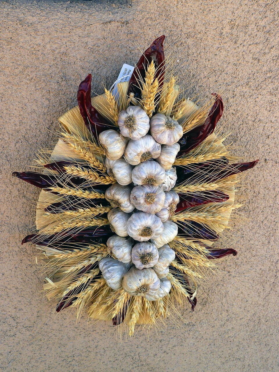 京北生態(tài)新城最新動態(tài)，綠色發(fā)展璀璨明珠的崛起