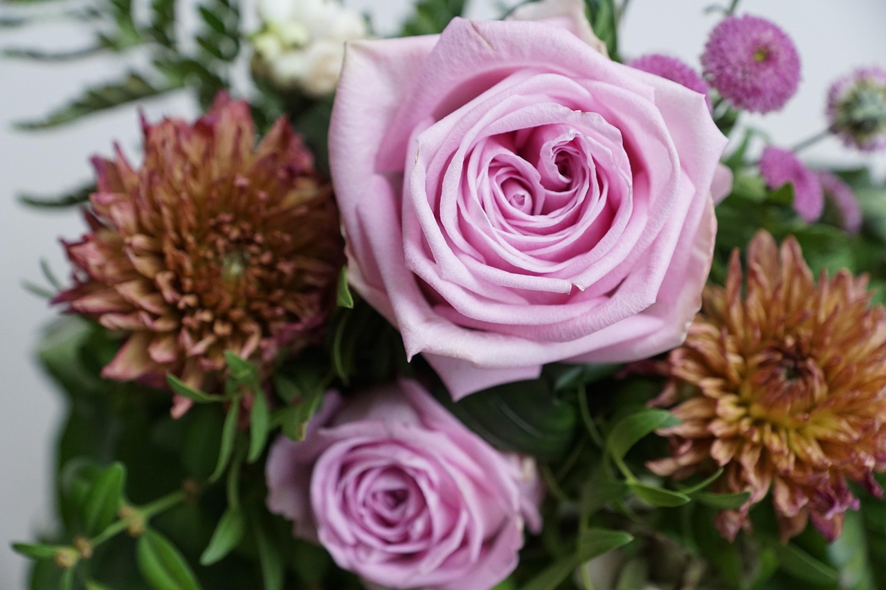 金谷美麗城最新動(dòng)態(tài)，揭開未來(lái)繁華序幕