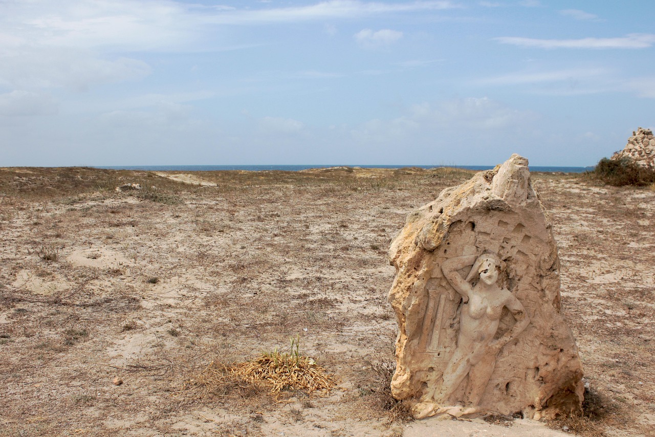 濱海旅游區(qū)新動(dòng)態(tài)，世界級(jí)旅游目的地打造最新消息