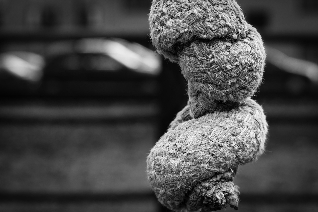 佳能RF鏡頭2023最新動態(tài)，引領(lǐng)攝影技術(shù)革新