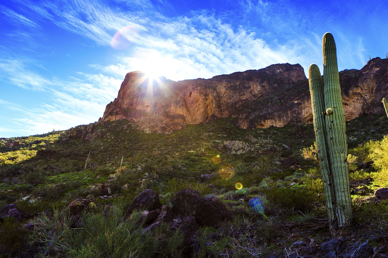 蘭州富士康最新動態(tài)，發(fā)展、影響與未來展望全面解讀