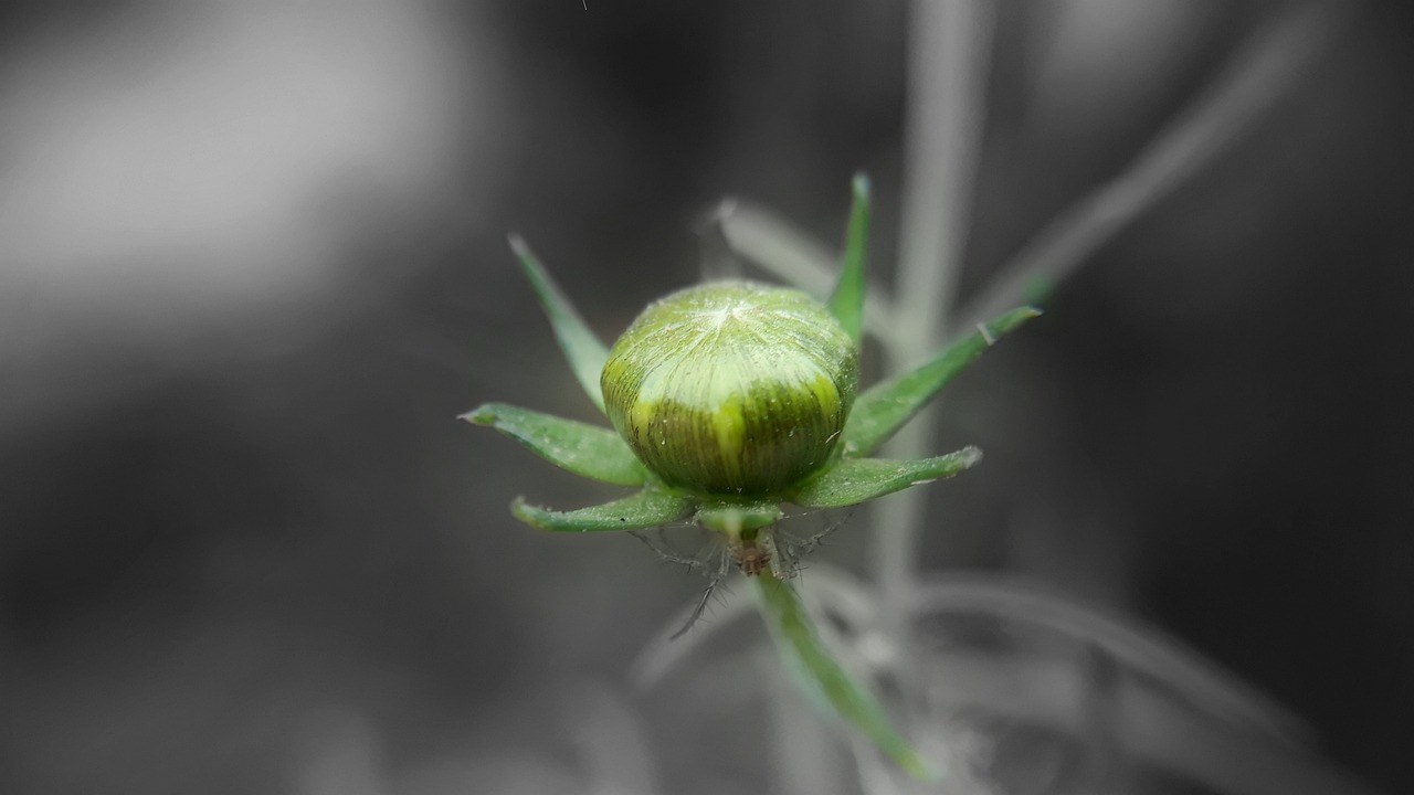 托普軟件最新消息深度解析，公司動(dòng)態(tài)與技術(shù)進(jìn)展一網(wǎng)打盡