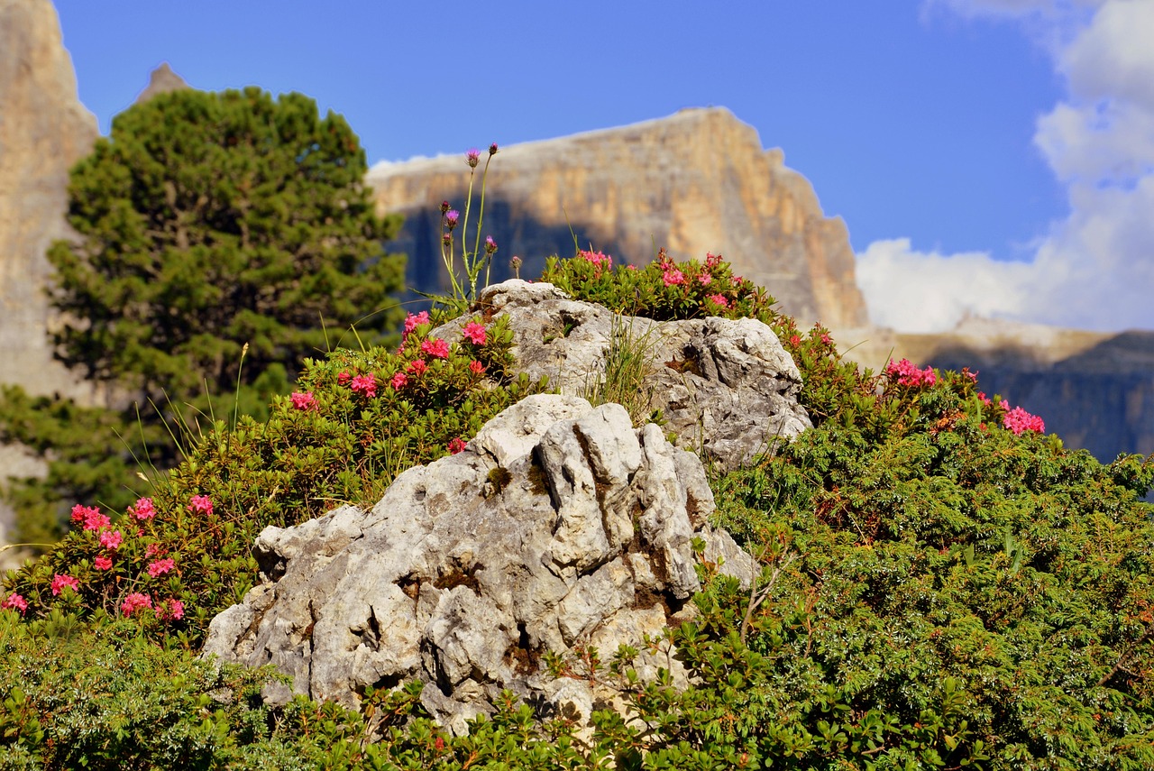 哈市道外區(qū)最新招聘動(dòng)態(tài)，崗位發(fā)布與影響分析