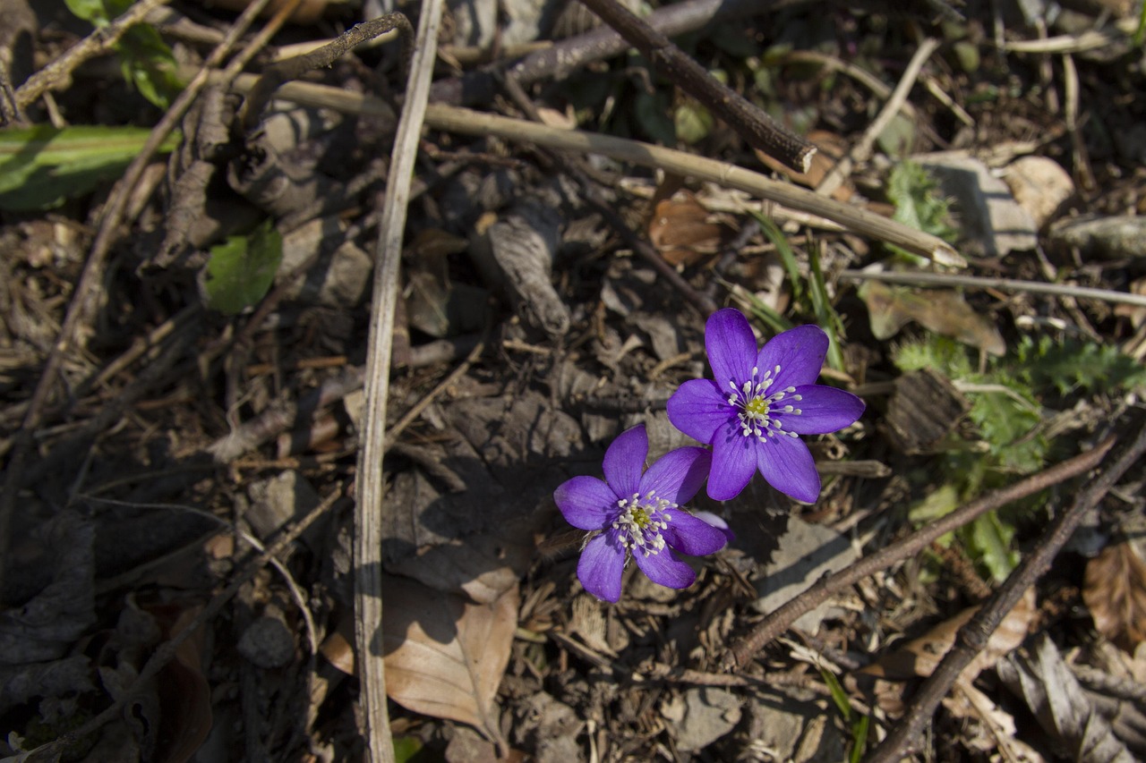 七平房棚戶區(qū)最新進(jìn)展與動(dòng)態(tài)更新