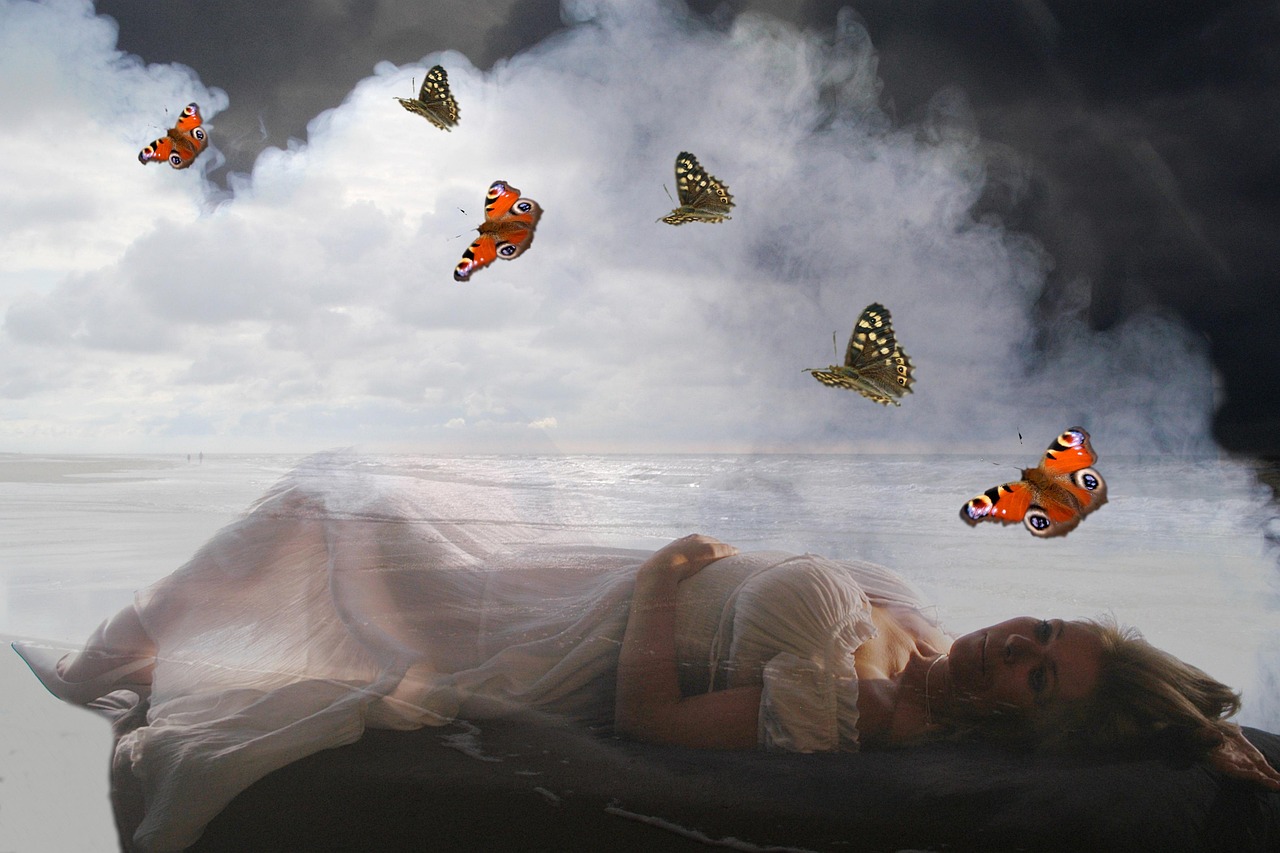 松木塘工業(yè)園最新招聘動態(tài)解析，人才需求與招聘信息概覽