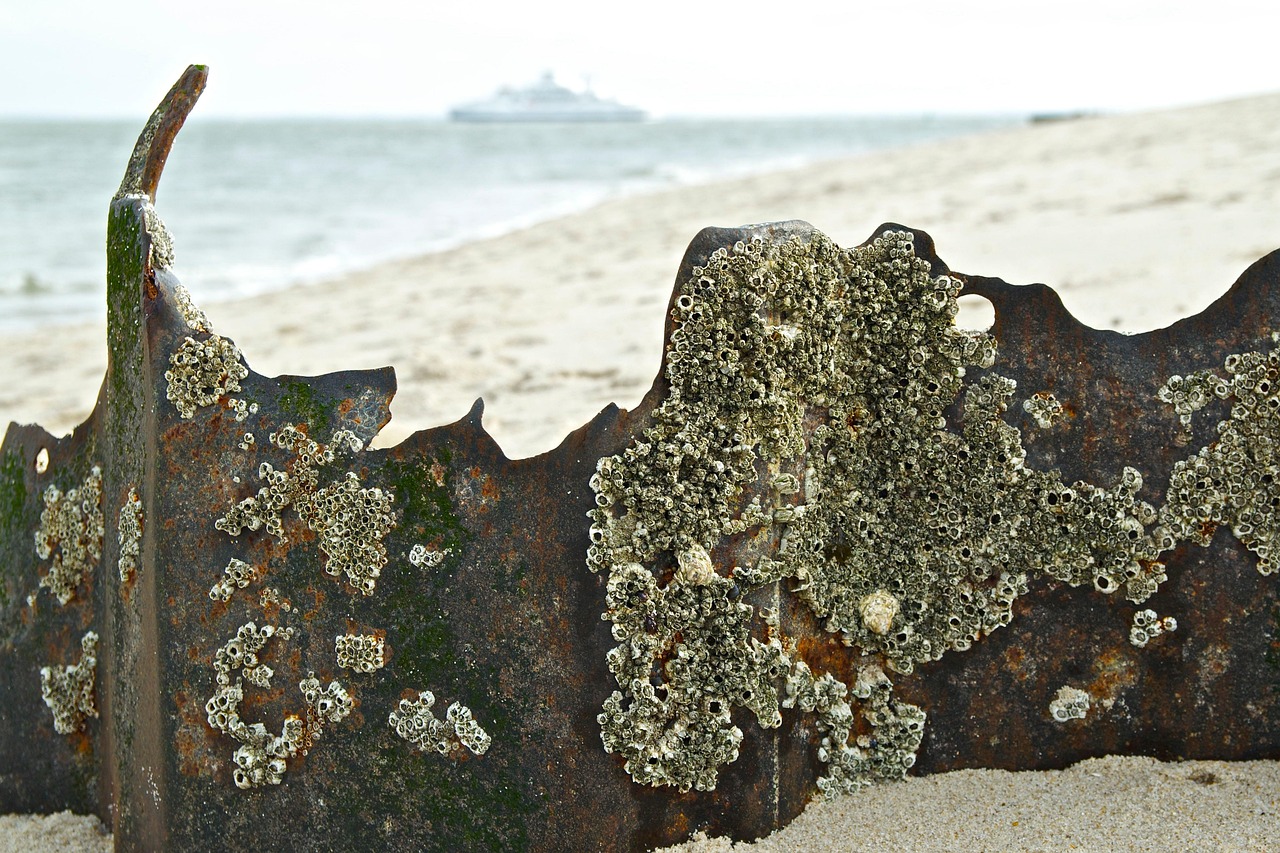 日本失聯(lián)老師最新動(dòng)態(tài)，搜救行動(dòng)進(jìn)展與持續(xù)關(guān)注聚焦