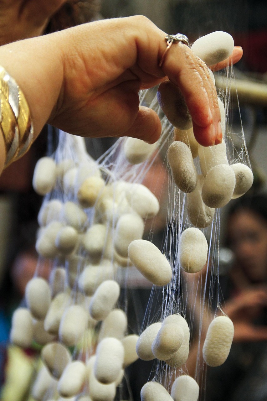 三殿村改造最新動態(tài)，重塑鄉(xiāng)村風(fēng)貌，邁向現(xiàn)代化進(jìn)程