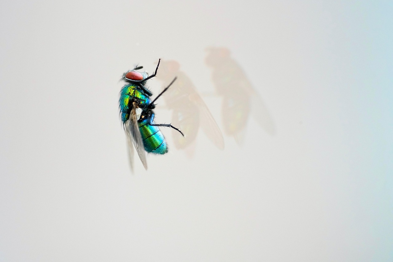 天天炫斗最新版2015年，游戲新體驗與特色解析