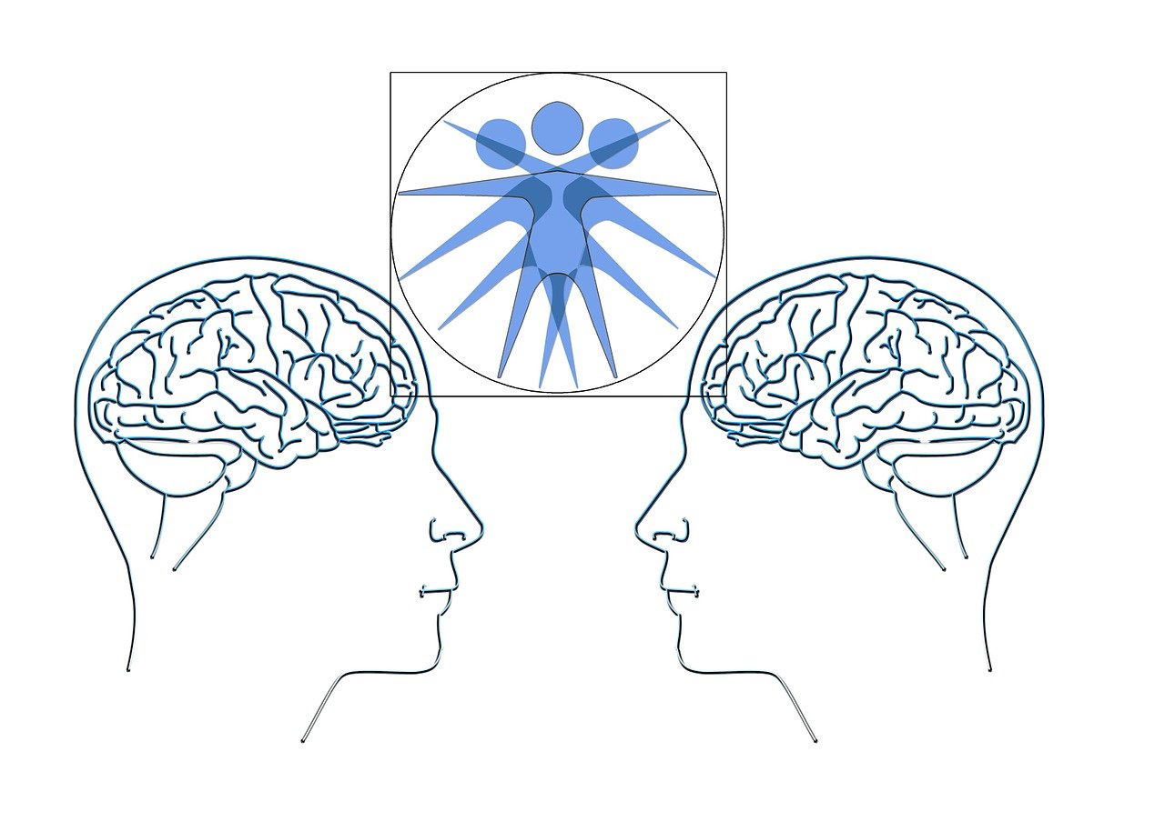 華海新天地最新情況概述，最新進展與動態(tài)速遞