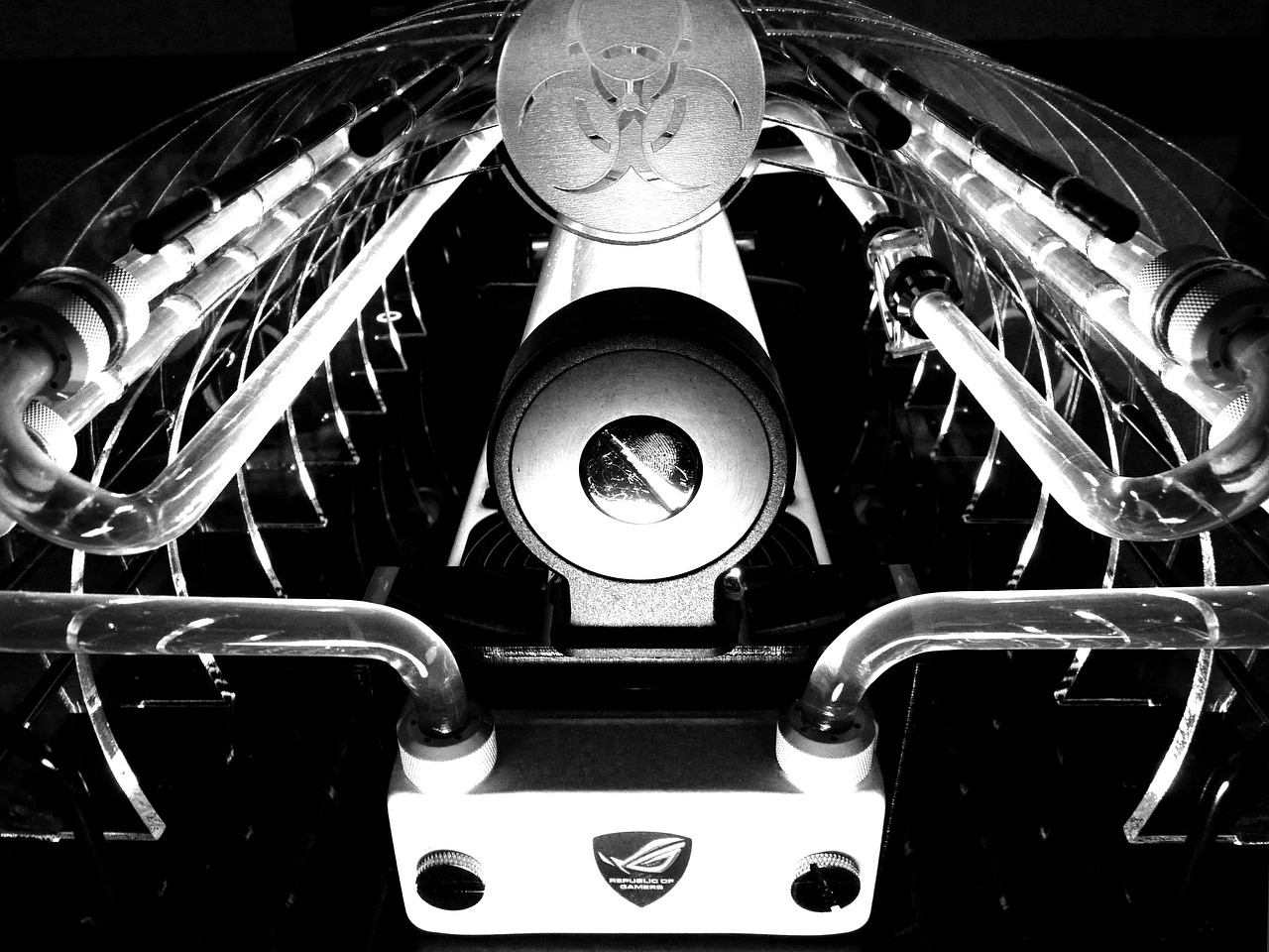 劉亦菲最新動態(tài)匯總，忙碌的日子里的消息更新