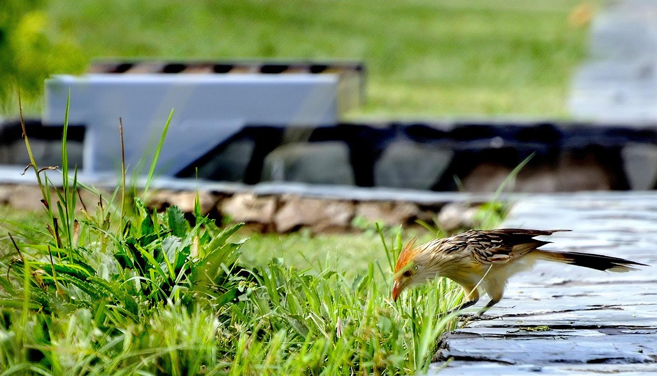 宜賓萬達廣場最新動態(tài)更新，最新消息一覽