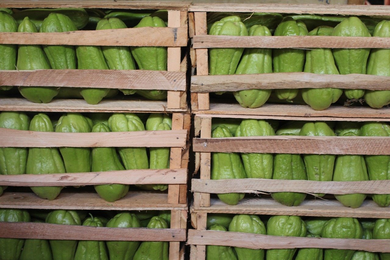 濱康綜合體最新動(dòng)態(tài)，城市發(fā)展的璀璨明珠閃耀光芒