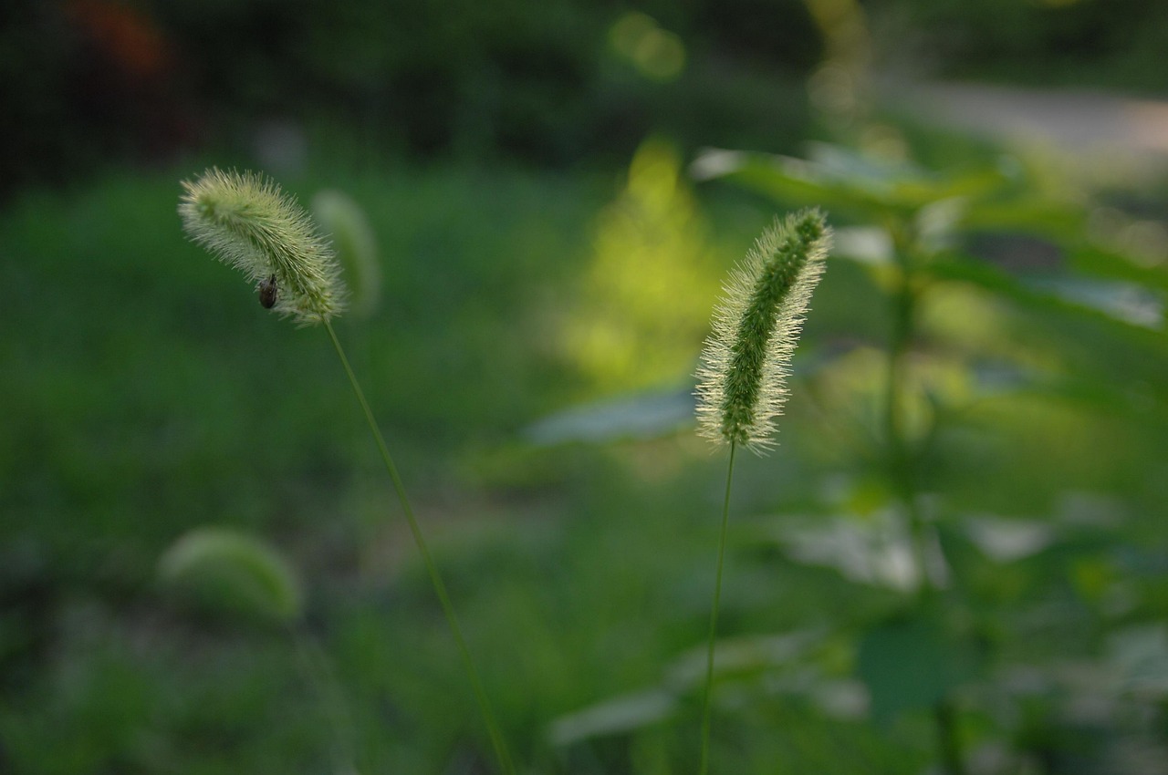 十堰陽光棲谷最新房?jī)r(jià)動(dòng)態(tài)分析與趨勢(shì)預(yù)測(cè)