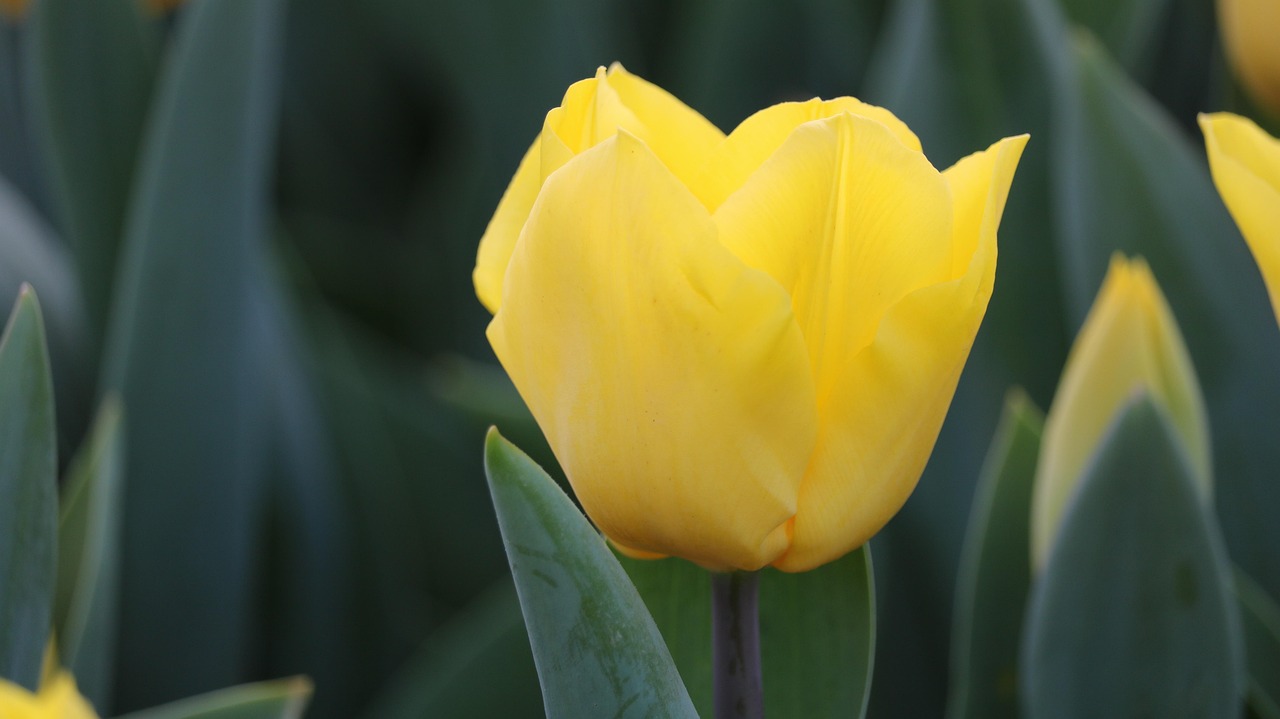 百色百投集團(tuán)最新招聘動(dòng)態(tài)，戰(zhàn)略背后的意義與崗位更新