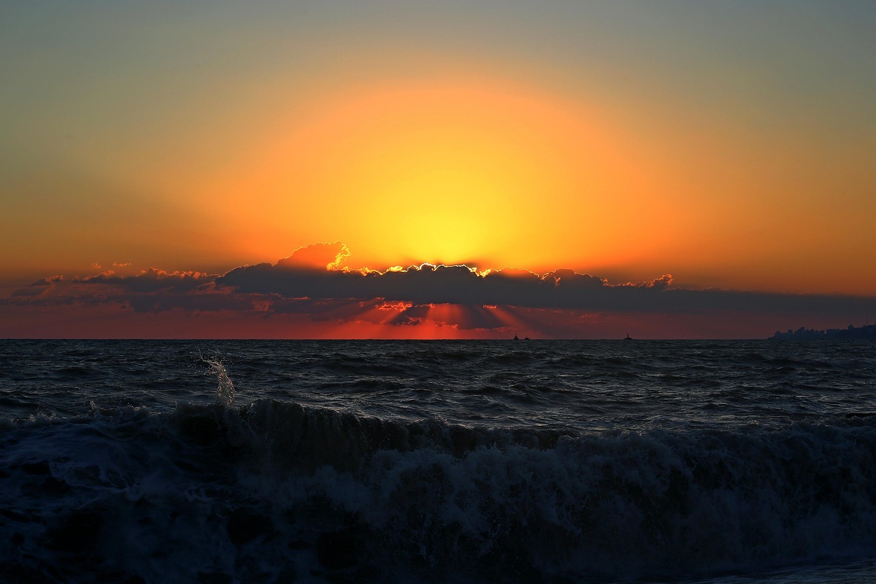 暮光之城女主最新動(dòng)態(tài)，閃耀星辰的更新揭秘