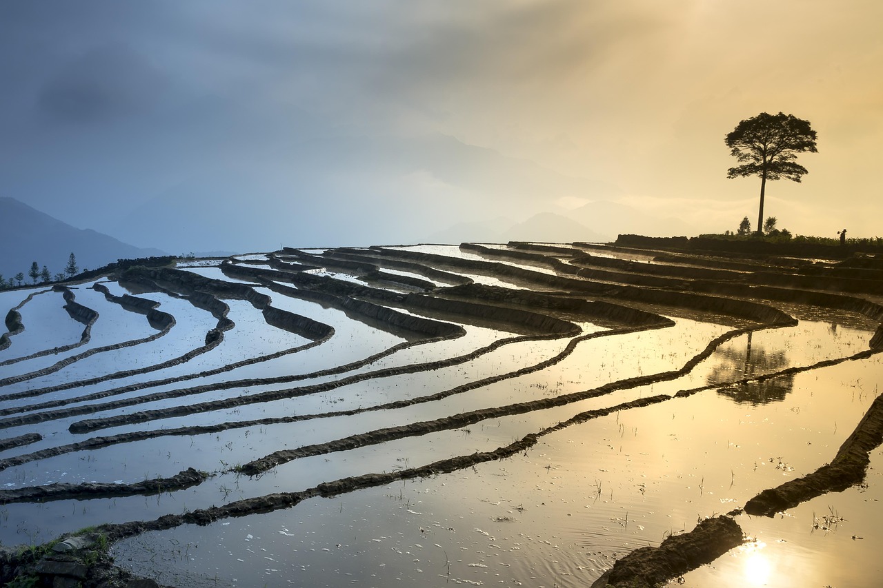 新鄉(xiāng)鳳泉湖最新進展揭秘，生態(tài)城市壯麗序幕正式拉開！