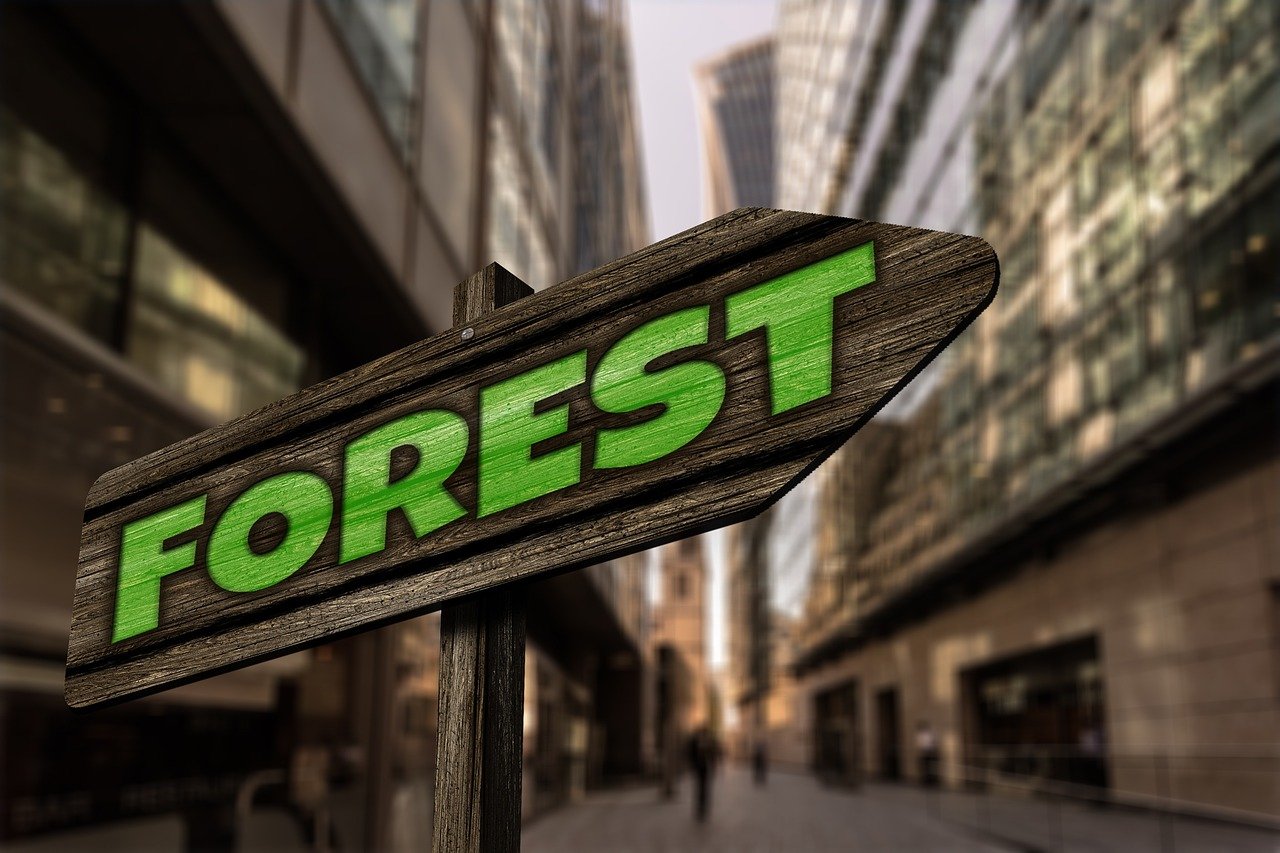 最新567彩票app下載體驗，探索最新版本的功能與優(yōu)勢