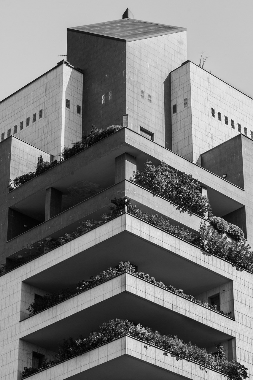 秦漢大道二期最新動態(tài)，建設(shè)進(jìn)展及未來展望