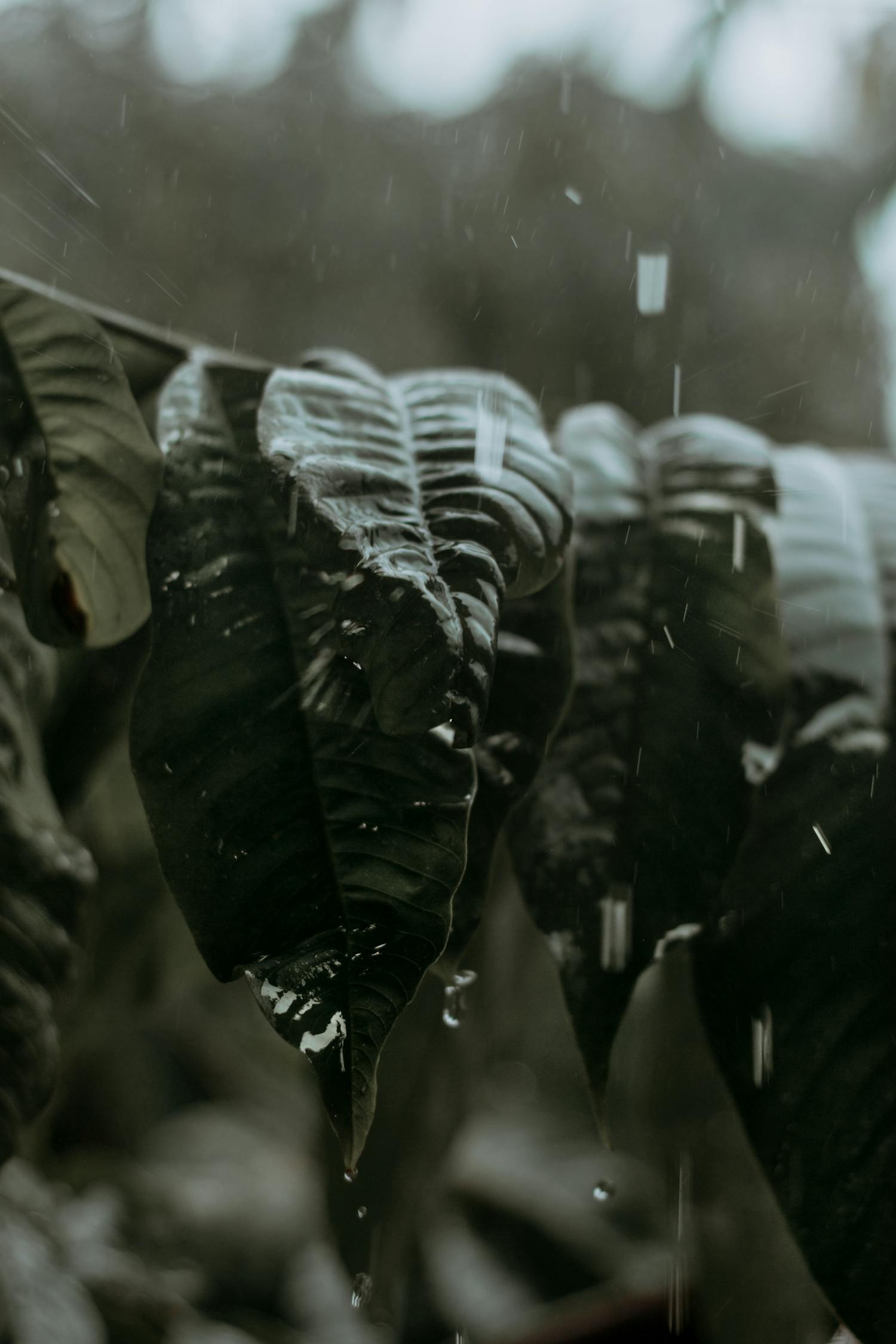 中超遼寧宏運(yùn)新賽季展望，蓄勢(shì)待發(fā)，最新動(dòng)態(tài)揭秘