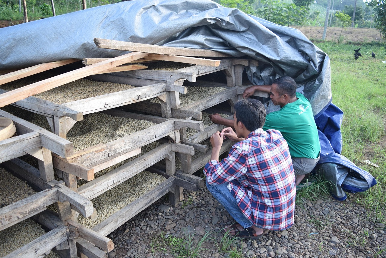 甘肅省玉門(mén)市最新房?jī)r(jià)動(dòng)態(tài)分析與趨勢(shì)預(yù)測(cè)