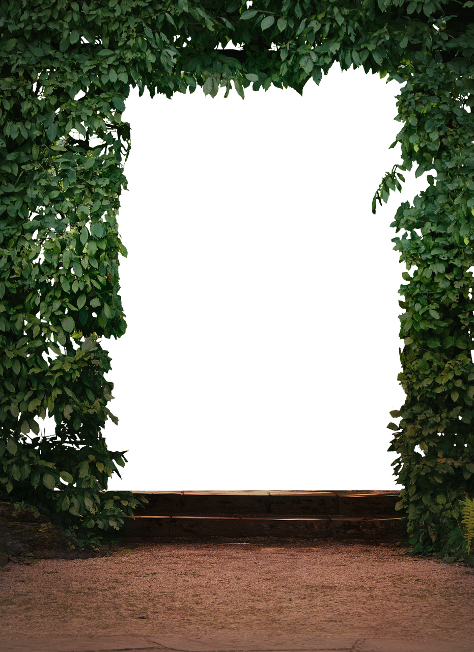 南湖公園二期最新動態(tài)，綠色明珠的未來展望