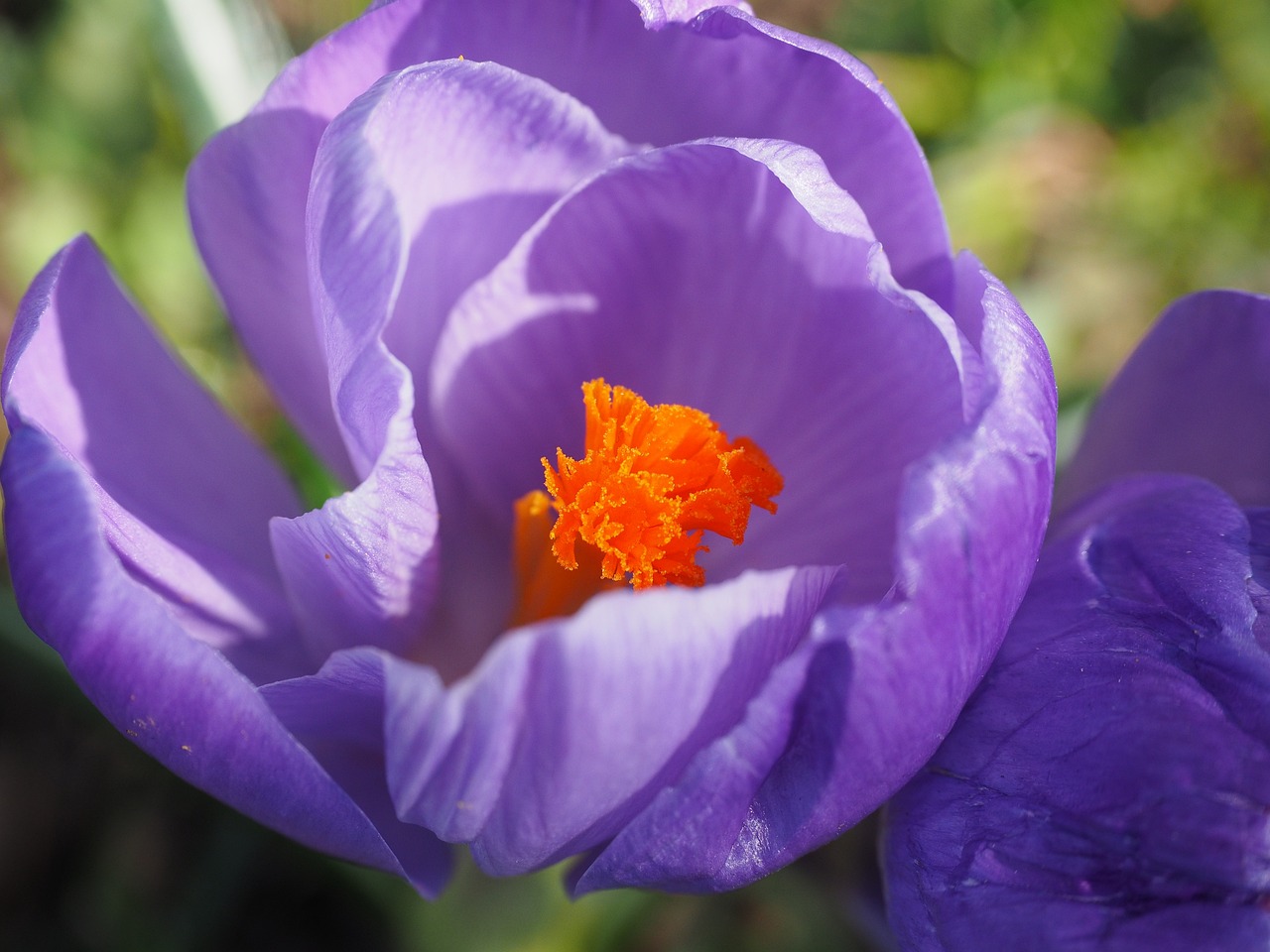 金壇高鐵最新進(jìn)展動態(tài)更新