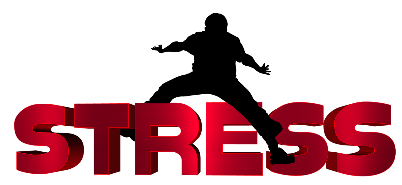 齊河二手車(chē)最新信息概覽，最新動(dòng)態(tài)一網(wǎng)打盡