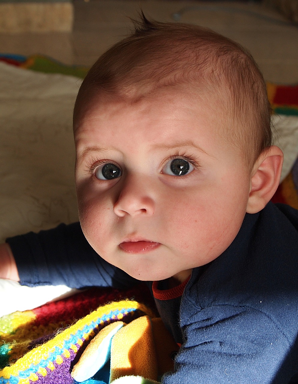 吳立勝與秦飛最新消息綜述，揭秘二人的最新動(dòng)態(tài)