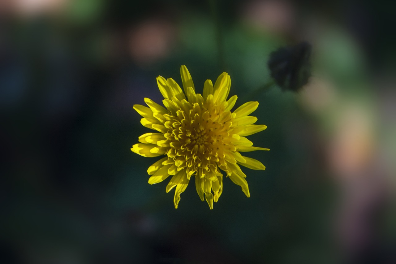 潢川龍江花園產(chǎn)權(quán)問題更新動態(tài)，最新消息匯總