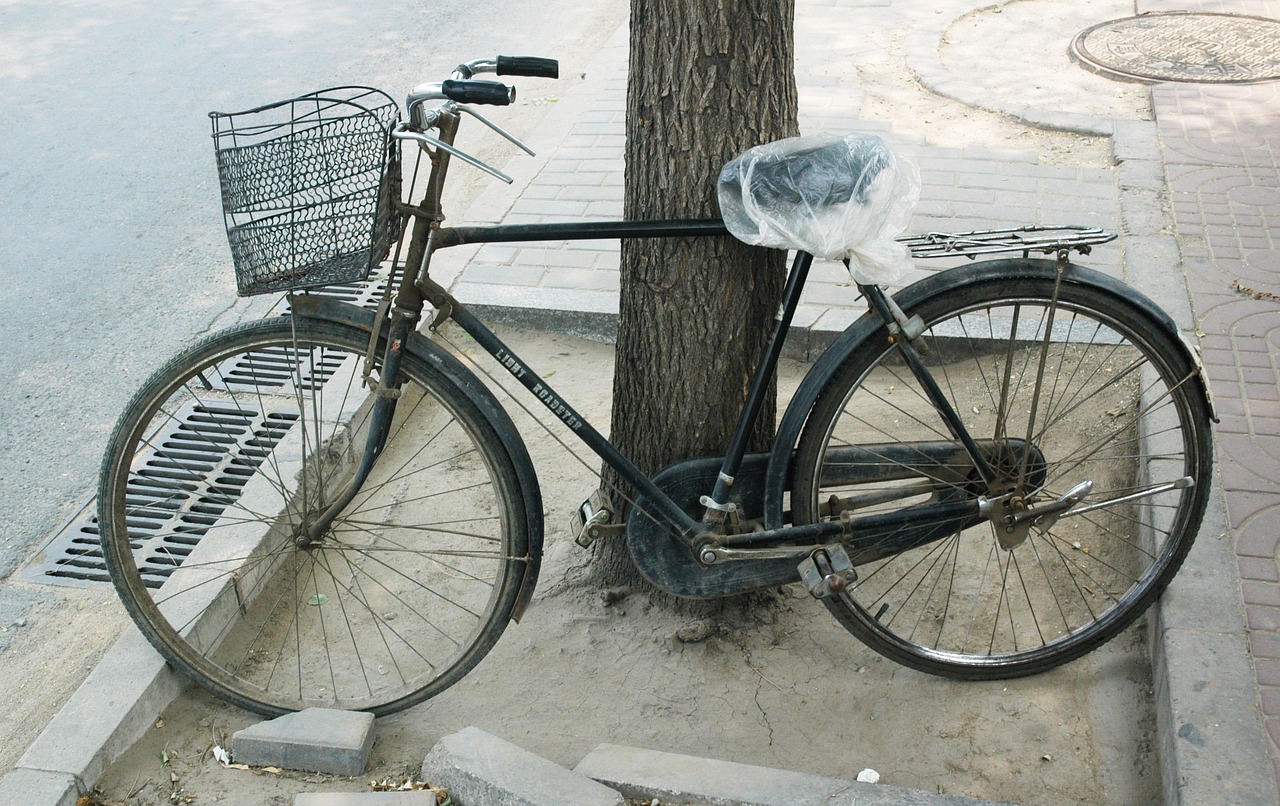 云商之家最新動態(tài)，張健引領(lǐng)變革之路